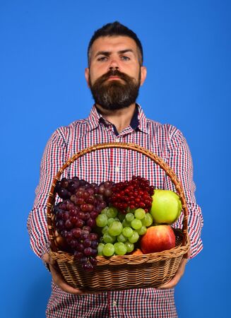 Man with beard holds basket with fruit on blue backgroundの写真素材