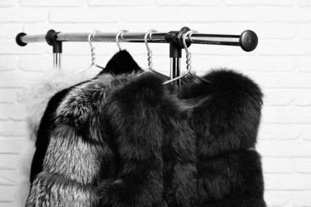 fashionable luxurious waist coats of fur hanging on rack on golden hangers on brick wall studio backgroundの写真素材