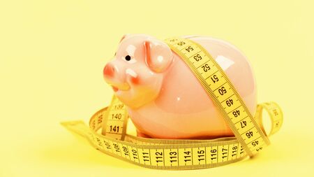 Measure costs. Piggy bank and measuring tape. Budget limit concept. Economics and finances. Pig trap. Budget crisis. Planning budget. Business problem. Limited or restricted. Credit loan debt.の写真素材