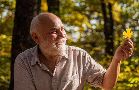 Old man enjoy sunny fall day. Wood environment. Autumn of his life. Golden autumn season. Pensioner...