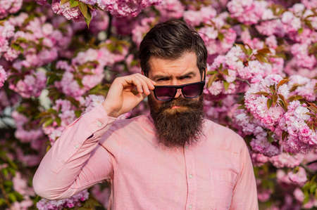 Bearded man wears pink shirt.の写真素材