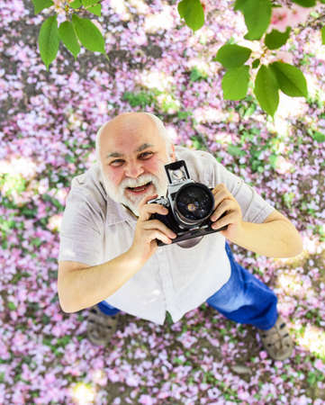 senior bearded man photographing pink blossom. professional photographer designer. happy retirement. man tourist use camera cherry blossom.の写真素材