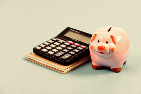 Piggy bank pink pig and calculator. Business administration. Finance manager wanted. Trading exchange. Trade market. Finance department. Credit debt concept. Economics and finance. Calculate profitの写真素材