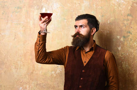 Service and restaurant drinks concept. Degustator looks at wine color