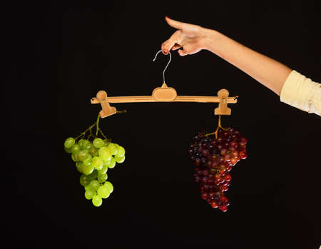 Bunches of grapes with equal weight. Autumn and healthy lifestyleの写真素材
