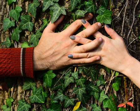Couple in love near tree. Mans and womans handsの写真素材
