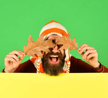 Man in warm hat holds oak tree leavesの写真素材