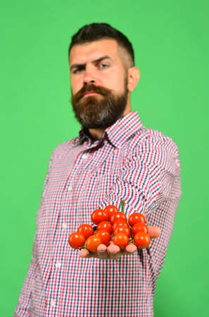 Man with beard holds handful of berries on green background.の写真素材