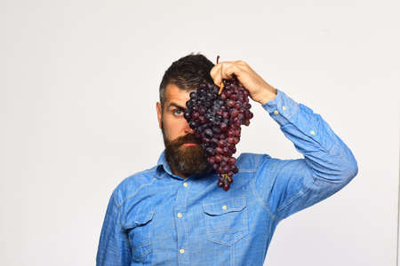 Man with beard holds bunch of pink grapes