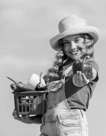 Organic food. Sunny day at farm. Vegetables in basket. Girl adorable child farming. Child carry harvest sky background. Homegrown veggies. Crops harvest. Harvest season. Natural vitamin nutritionの写真素材