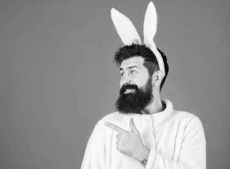 Man wearing bunny plush suit. Funny bunny man with beard and mustache. Easter symbol concept. Guy...