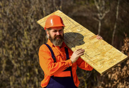 Set up scaffolding. Assemble temporary equipment or structures. Renovation services. Man carry...
