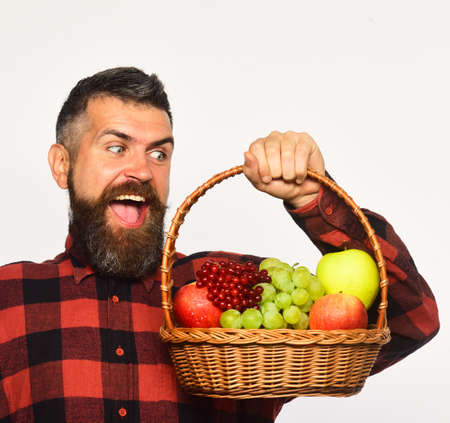 Farmer with beard holds fruit basket on white background.の写真素材