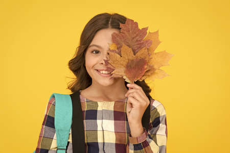 Small schoolgirl concept. Little kid. Great back to school deals on everything you need to learn in style. Schoolgirl with backpack and fallen leaves. Happy schooling. Cute schoolgirl going to schoolの写真素材