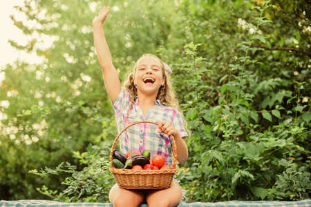 Eat healthy. Summer harvest concept. Gmo free. Healthy food concept. Girl cute smiling child living healthy life. Healthy lifestyle. Kid hold basket with vegetables nature background. Eco farmingの写真素材