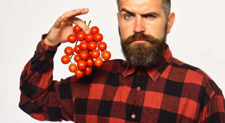 Guy shows his harvest. Farmer with concerned face holds tomatoes