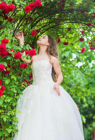 Girl fashionable dress enjoying rose flower aroma blooming garden, eco environment conceptの写真素材