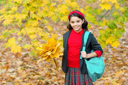 happy school girl handful of yellow maple leaves in park, school timeの写真素材