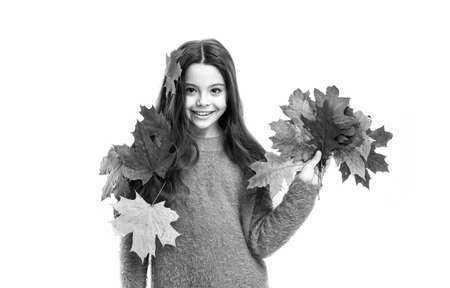 In love with nature. school season. warm clothes fashion. happy little child isolated on white. girl with maple leaf. smiling girl in autumn sweater. weather forecast. fallen leaves in autumn natureの写真素材