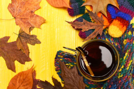 Autumn leaves, hot steaming cup of tea and warm scarf