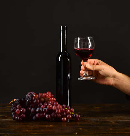 Bottle and glass of wine on dark brown background.の写真素材