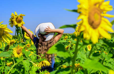 little girl in sunflower field. yellow flower of sunflower. happy childhood. beautiful girl wear straw summer hat in field. pretty kid with flower. beauty of summer nature. Revel in beautyの写真素材