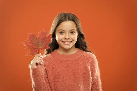 How amazing autumn is. Little child hold maple leaf changing color. Small girl smiling with autumn leaf. Celebrate autumn. Natural beauty. Happy autumn seasonの写真素材