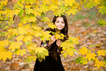 beauty of nature. happy girl with long hair. girl at yellow maple leaves. kid in autumn park. fall is a time for school. good weather for walking outdoor. child in autumn leaves. Exploring the worldの写真素材
