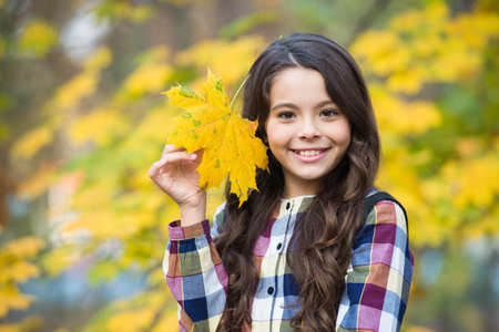 Autumn snuggles. good weather for walking outdoor. child in autumn leaves. beauty of nature. happy girl with long hair. girl gather yellow maple leaves. kid in autumn park. fall is a time for schoolの写真素材