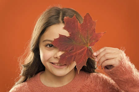 Celebrate autumn. How amazing autumn is. Small girl having fun with autumn leaf. Little child hold maple leaf changing color. Natural beauty. Beauty face. Skincare concept. Happy autumn seasonの写真素材