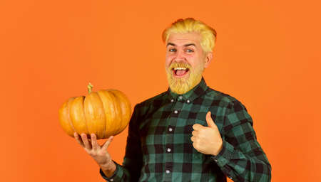 Yellow ripe pumpkin. Thanksgiving Day with pumpkin. Vintage bearded man with gourd. food and harvest. happy man checkered shirt and beard. Give Thanks. Harvest timeの写真素材