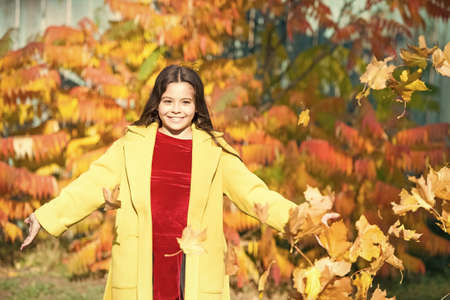 Autumn warm. Leaf fall. Stylish girl in autumn coat walking in autumn park. Fallen leaves. Autumn...
