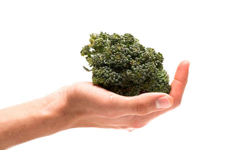 Healthy nutrition and vegan diet concept. Broccoli in female palmの写真素材