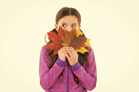 Enjoy the silence. collect autumn colors. beauty of fall season. happy childhood. school girl behind...
