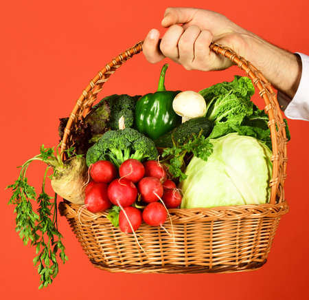Farmer holds cabbage, radish, pepper, broccoli, carrot, mushroom and lettuce.の写真素材