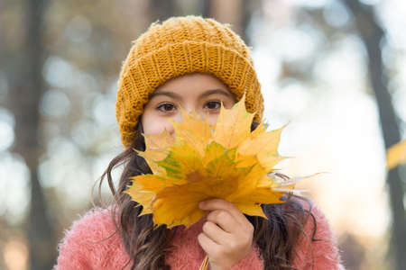 autumn child in stylish knitted hat and warm sweater enjoy day in forest holding yellow maple leaves as symbol of fall season, having funの写真素材