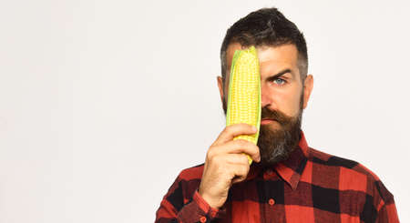 Man with beard holds ripe corn cob.