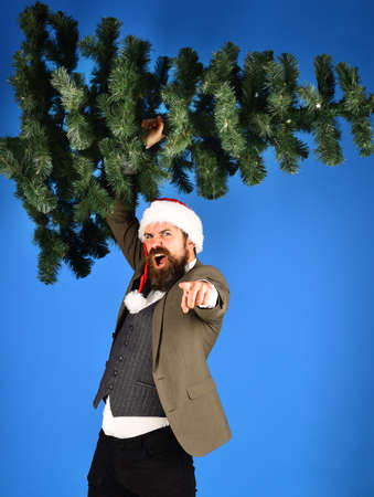 Businessman with raging face holds bald Christmas tree upの写真素材