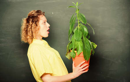 idea concept. school nature study. surprised student girl with plant at blackboard. tree of knowledge. school learning ecology. environmental education. teacher woman in glasses at biology lessonの写真素材