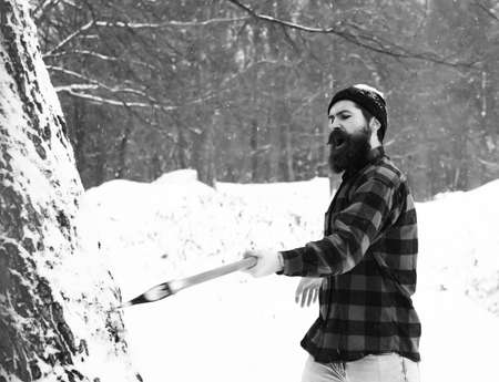 Handsome brutal lumberjack cuts treeの写真素材