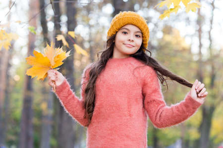 beautiful girl with long hair hold yellow fallen maple leaves wearing knitted hat and warm sweater in autumn forest, fallの写真素材