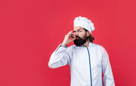 excellence of taste. male cook ready for preparing food. brutal hipster in apron going to be cooking meal. time for eating. baking. concept of housekeeping. mature bearded man wear chef hatの写真素材