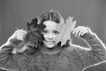 Magic colors. Amazing autumn. Little child hold maple leaves changing color. Small girl smile with...