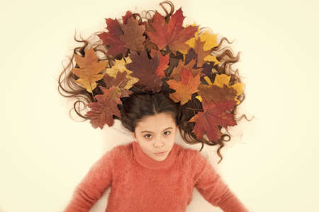 Organic mask. Haircare tips add to fall routine. Little girl gorgeous long hair and fallen maple leaves lay on white background. Deep conditioning treatment. Fall season. Shampoo care. Fall is hereの写真素材