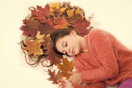 Haircare tips add to fall routine. Little girl gorgeous long hair and fallen maple leaves lay on...