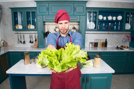 Man cook vegetarian recipe with fresh vegetables. Pick fresh vegetables. Vegetables main ingredient. Recipe with fresh vegetables. Chef cooking vegetarian recipe. Man chef wear apron cooking kitchenの写真素材