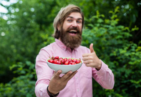 Green healthy food. Fresh red sour cherries harvest in plate. seasonal cherry harvest in industrial...