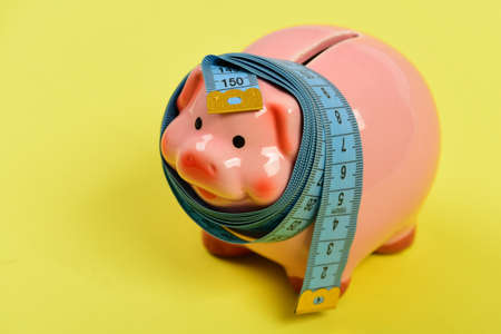Investments and metering or counting idea. Budget and squeezed savingsの写真素材