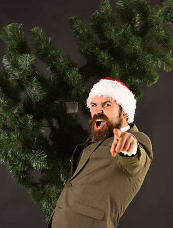 Cheerful man in Santas hat carries bald Christmas treeの写真素材
