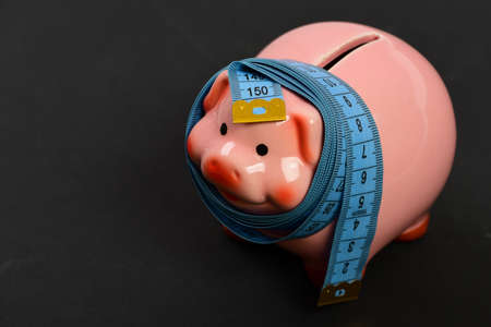 Investments and metering or counting idea. Ceramic toy pigの写真素材